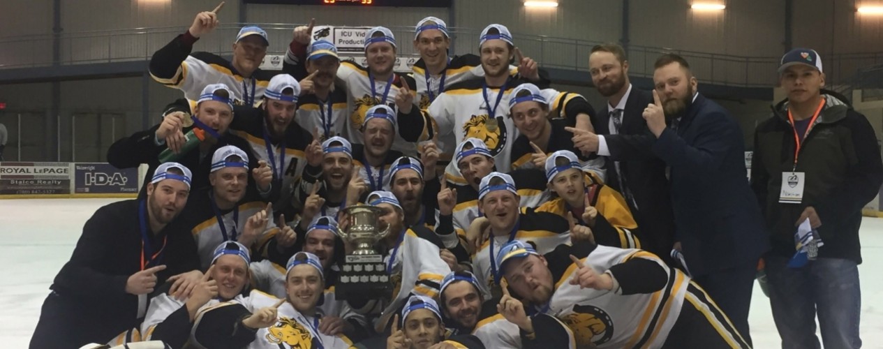 Senior Male Hockey Team On The Ice