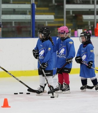 2017 Alberta Hockey Day