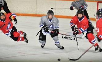 2017 Peewee Prospects Cup