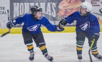 2018 Alberta Hockey Day