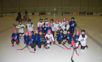 2020 Female Hockey Day