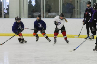 2020 Female Hockey Day