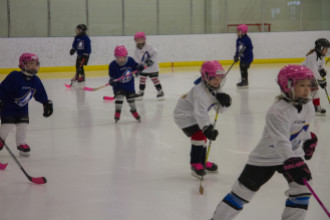 2020 Female Hockey Day