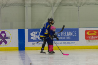 2020 Female Hockey Day