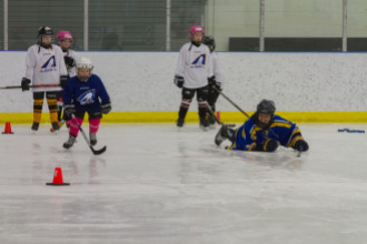 2020 Female Hockey Day