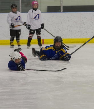 2020 Female Hockey Day