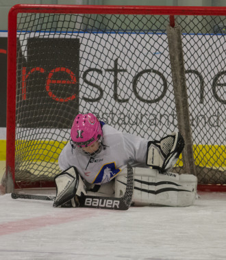 2020 Female Hockey Day